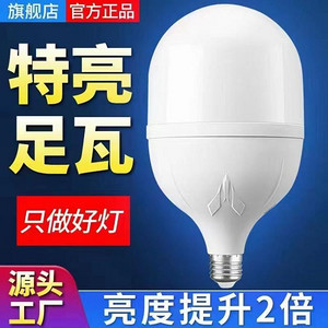 真亮美塑包鋁球泡